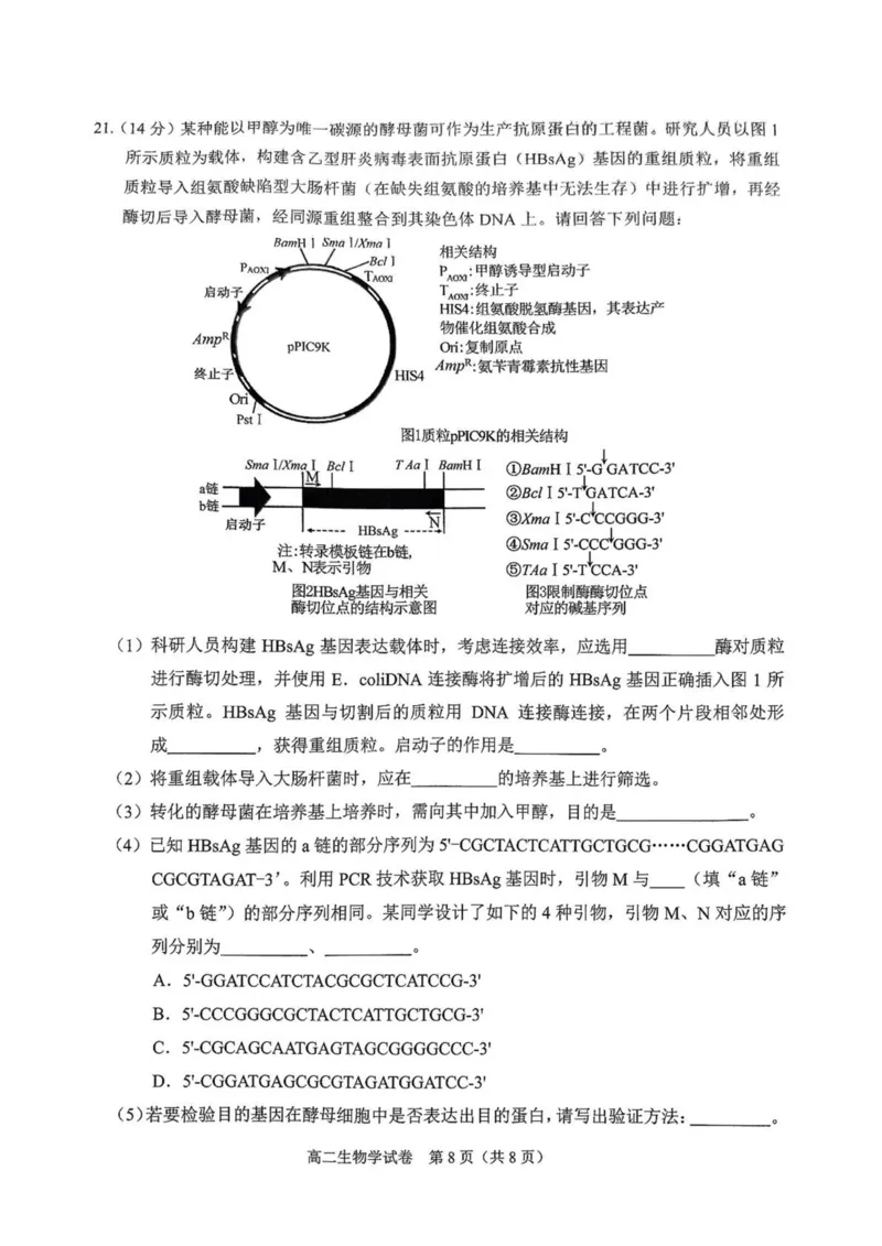 广西南宁市部分学校2024-2025学年高二下学期6月期末考试生物PDF版含解析_2025年7月_250704广西壮族自治区考阅评&middot;南宁部分学校2025年春季学期高二年级期末教学质量监测（全科）
