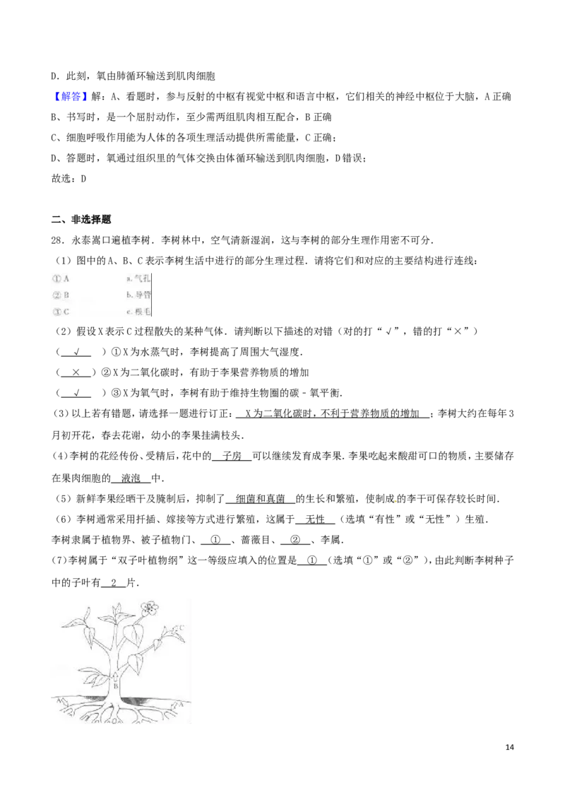 福建省福州市2016年中考生物真题试题（含解析）_中考真题_8.生物中考真题2015-2024年_2016年全国中考生物74份