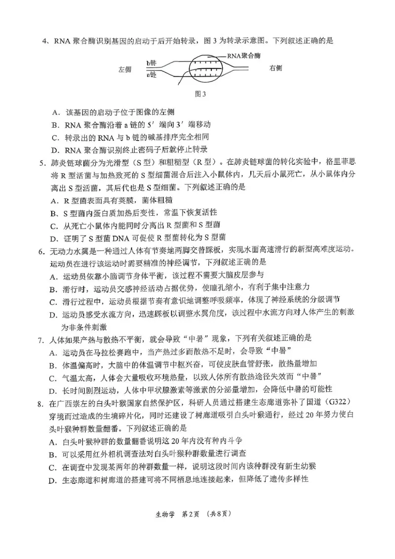 广西柳州市2026届高三第一次模拟考试生物_251124广西柳州市2026届高三第一次模拟考试（全科）