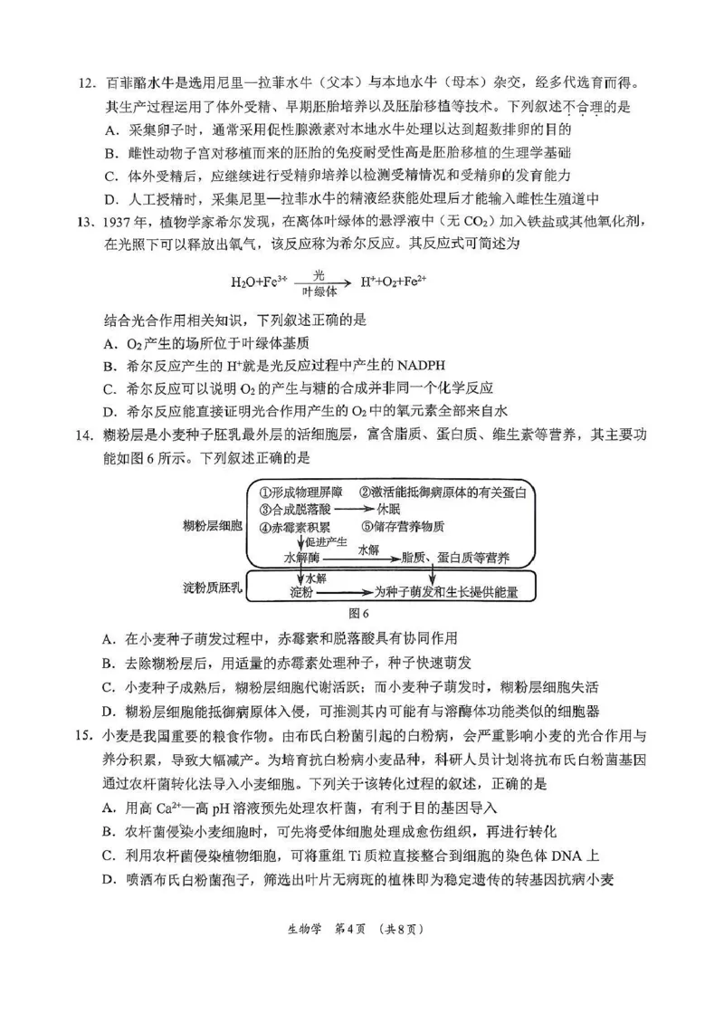 广西柳州市2026届高三第一次模拟考试生物_251124广西柳州市2026届高三第一次模拟考试（全科）