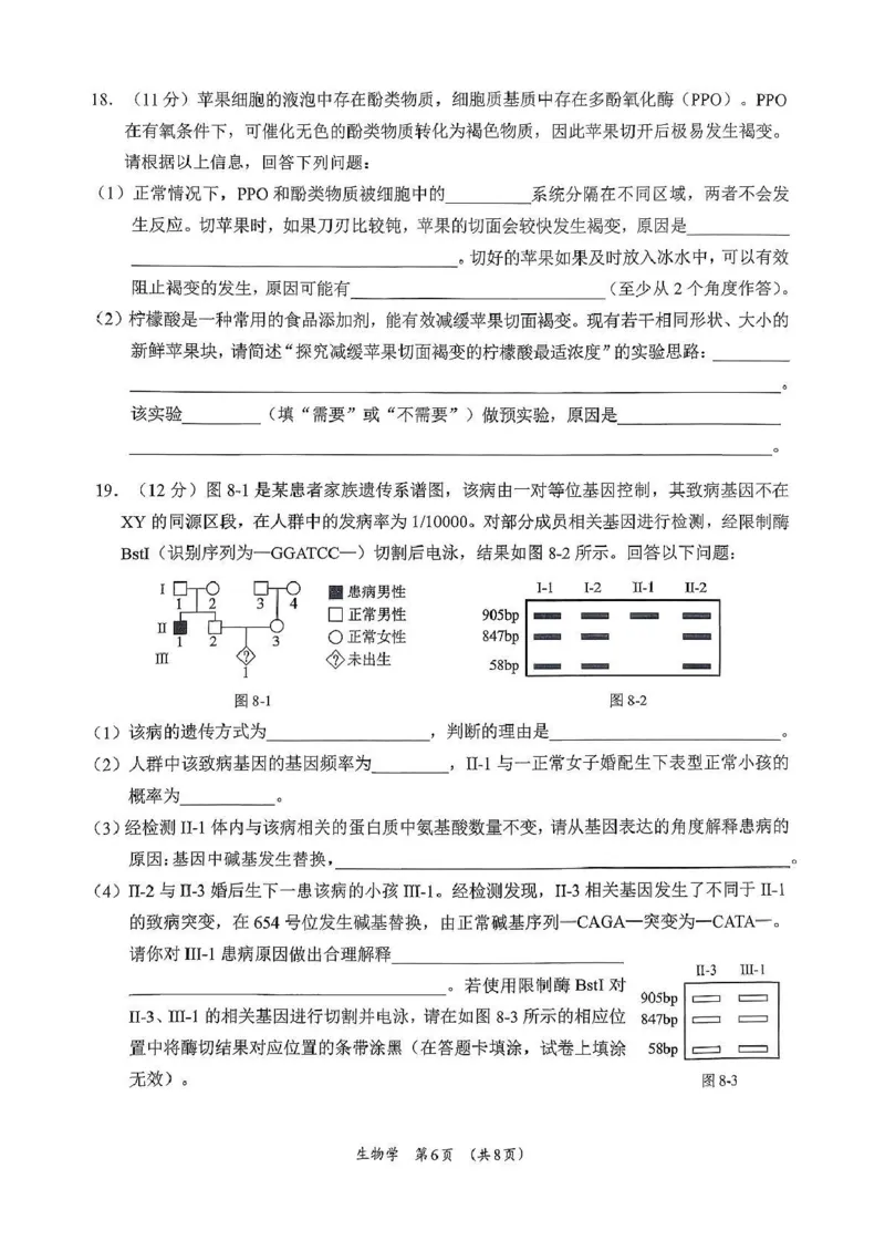 广西柳州市2026届高三第一次模拟考试生物_251124广西柳州市2026届高三第一次模拟考试（全科）