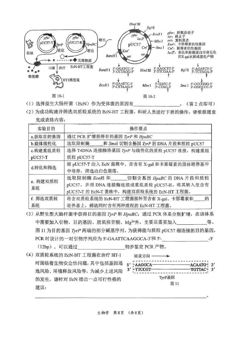 广西柳州市2026届高三第一次模拟考试生物_251124广西柳州市2026届高三第一次模拟考试（全科）