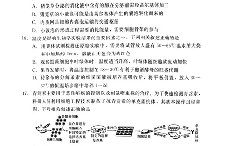 河北省NT20名校联合体2024-2025学年高二下学期期末考试生物试卷（含答案）_2025年7月_250709河北省NT20名校联合体2024-2025学年高二下学期7月期末（全科）