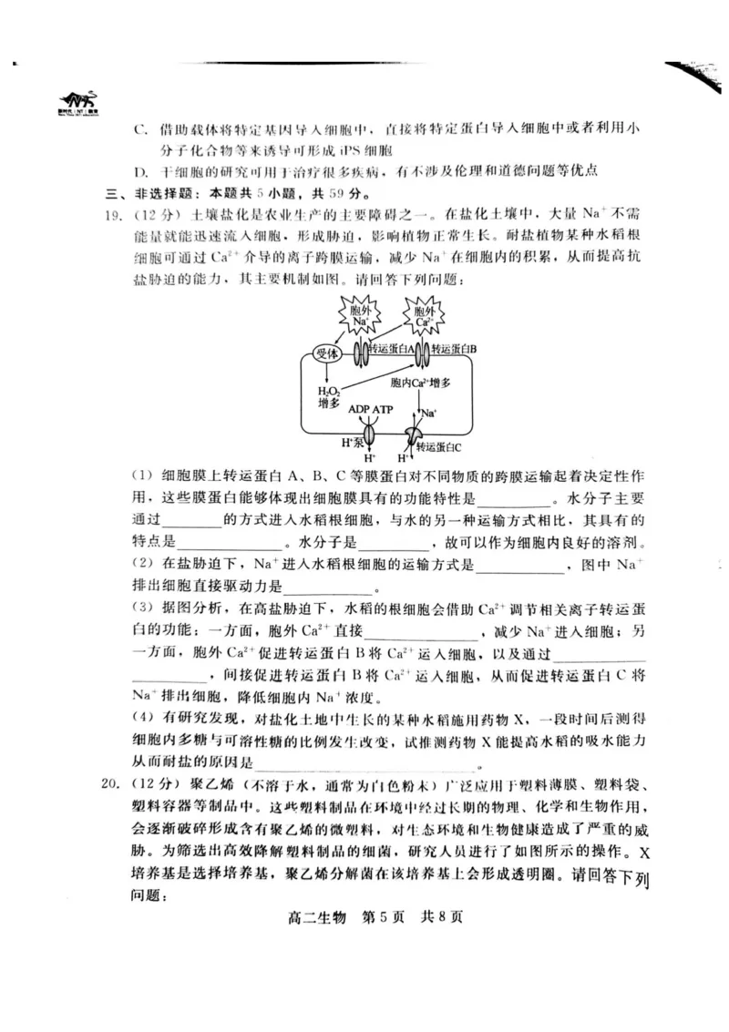 河北省NT20名校联合体2024-2025学年高二下学期期末考试生物试卷（含答案）_2025年7月_250709河北省NT20名校联合体2024-2025学年高二下学期7月期末（全科）