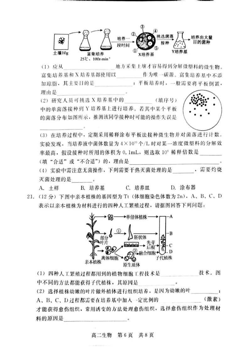 河北省NT20名校联合体2024-2025学年高二下学期期末考试生物试卷（含答案）_2025年7月_250709河北省NT20名校联合体2024-2025学年高二下学期7月期末（全科）