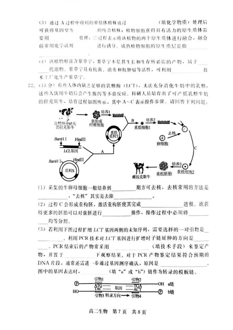 河北省NT20名校联合体2024-2025学年高二下学期期末考试生物试卷（含答案）_2025年7月_250709河北省NT20名校联合体2024-2025学年高二下学期7月期末（全科）