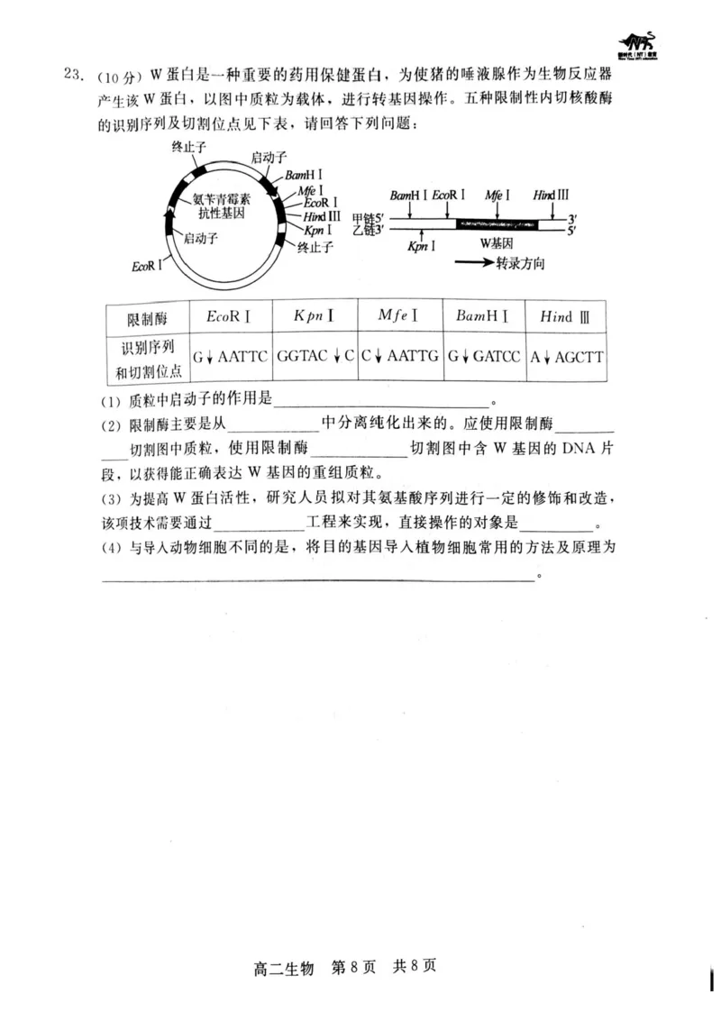 河北省NT20名校联合体2024-2025学年高二下学期期末考试生物试卷（含答案）_2025年7月_250709河北省NT20名校联合体2024-2025学年高二下学期7月期末（全科）