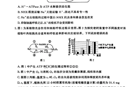 山东高考质量测评联盟大联考&middot;高三12月联考生物_2025年12月_251223山东高考质量测评联盟大联考&middot;高三12月联考（全科）_山东高考质量测评联盟大联考&middot;高三12月联考生物