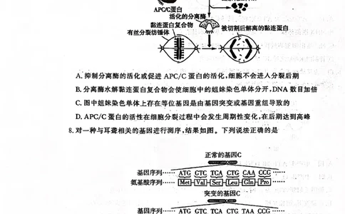 山东高考质量测评联盟大联考&middot;高三12月联考生物_2025年12月_251223山东高考质量测评联盟大联考&middot;高三12月联考（全科）_山东高考质量测评联盟大联考&middot;高三12月联考生物