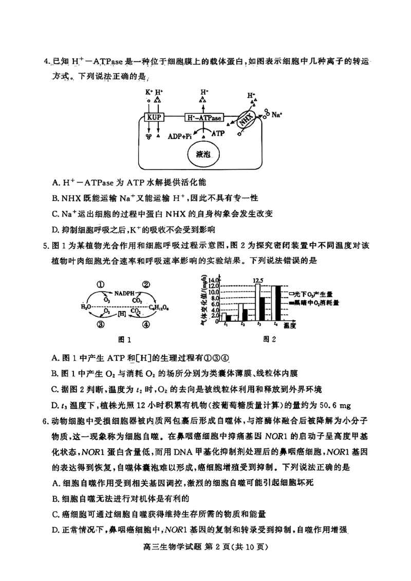 山东高考质量测评联盟大联考&middot;高三12月联考生物_2025年12月_251223山东高考质量测评联盟大联考&middot;高三12月联考（全科）_山东高考质量测评联盟大联考&middot;高三12月联考生物