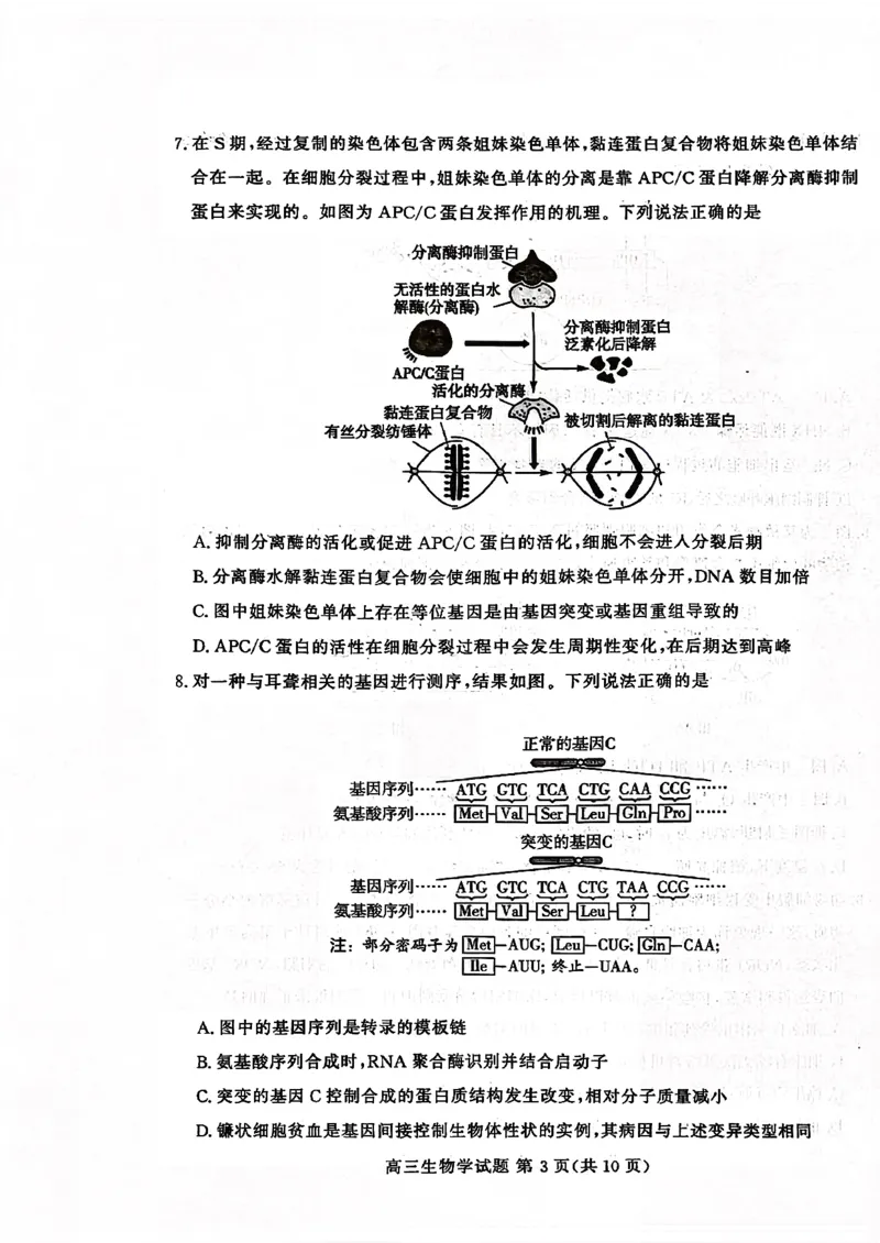 山东高考质量测评联盟大联考&middot;高三12月联考生物_2025年12月_251223山东高考质量测评联盟大联考&middot;高三12月联考（全科）_山东高考质量测评联盟大联考&middot;高三12月联考生物