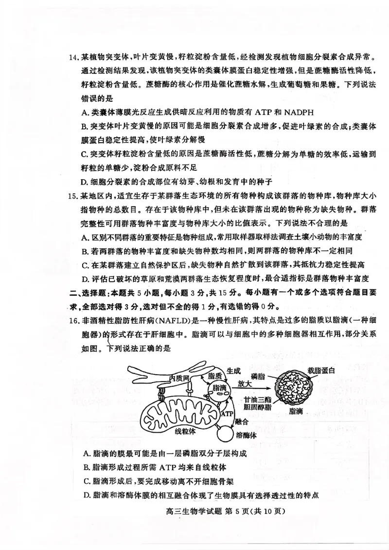 山东高考质量测评联盟大联考&middot;高三12月联考生物_2025年12月_251223山东高考质量测评联盟大联考&middot;高三12月联考（全科）_山东高考质量测评联盟大联考&middot;高三12月联考生物