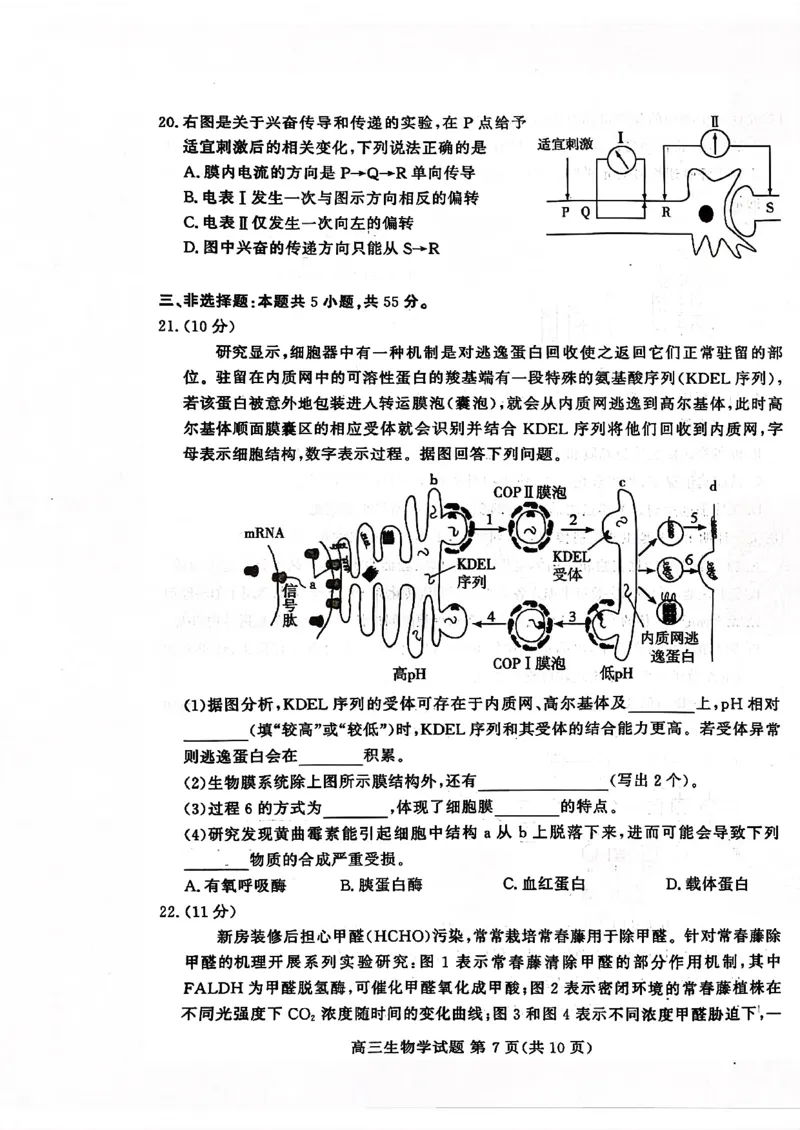 山东高考质量测评联盟大联考&middot;高三12月联考生物_2025年12月_251223山东高考质量测评联盟大联考&middot;高三12月联考（全科）_山东高考质量测评联盟大联考&middot;高三12月联考生物