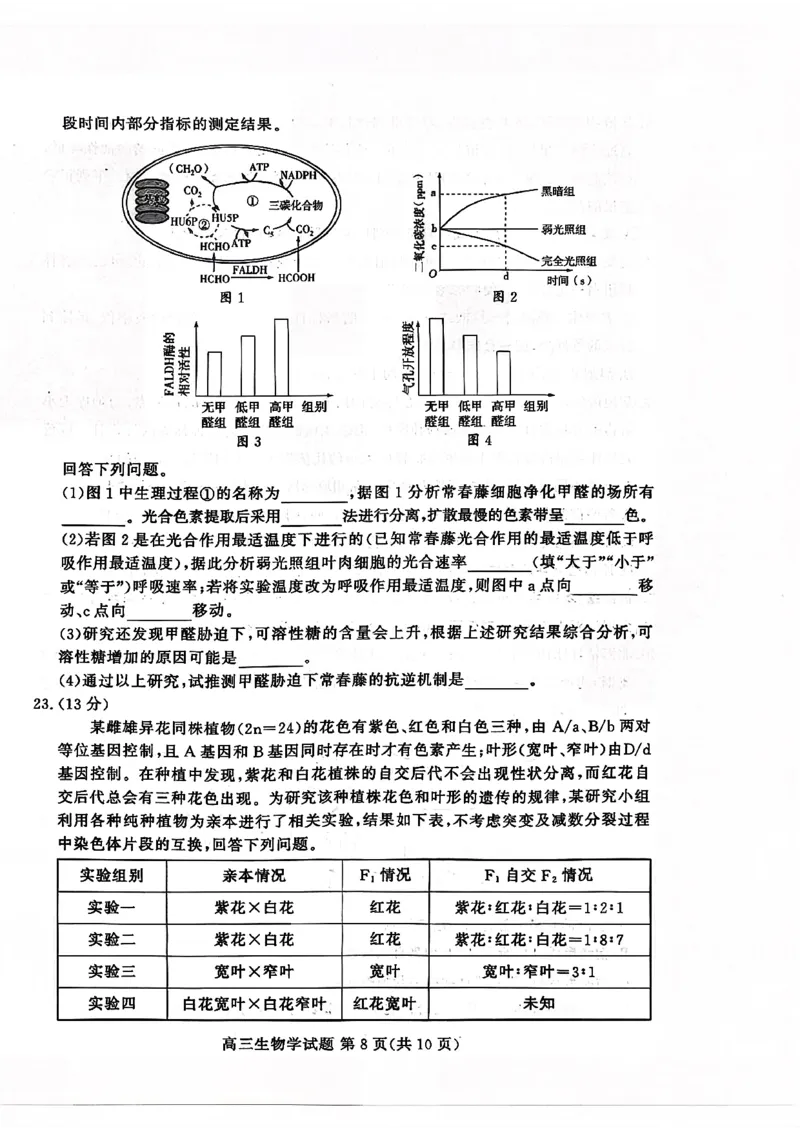 山东高考质量测评联盟大联考&middot;高三12月联考生物_2025年12月_251223山东高考质量测评联盟大联考&middot;高三12月联考（全科）_山东高考质量测评联盟大联考&middot;高三12月联考生物