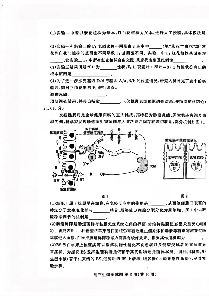 山东高考质量测评联盟大联考&middot;高三12月联考生物_2025年12月_251223山东高考质量测评联盟大联考&middot;高三12月联考（全科）_山东高考质量测评联盟大联考&middot;高三12月联考生物