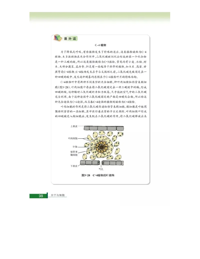 浙科版高中生物必修1《分子与细胞》电子课本_4-教培资料-26年最新资料-同步更新_初中高中教资_03科三专项（进去保存报考的学科即可）_112025高中科目（全）电子教材
