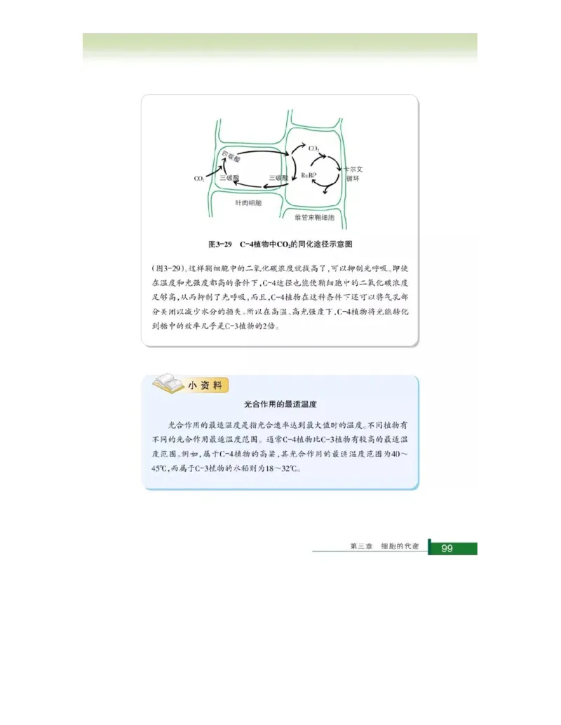 浙科版高中生物必修1《分子与细胞》电子课本_4-教培资料-26年最新资料-同步更新_初中高中教资_03科三专项（进去保存报考的学科即可）_112025高中科目（全）电子教材