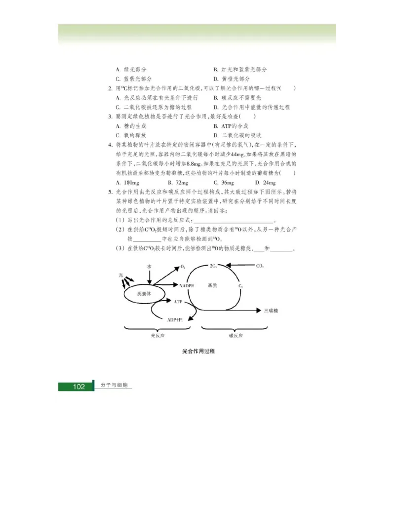 浙科版高中生物必修1《分子与细胞》电子课本_4-教培资料-26年最新资料-同步更新_初中高中教资_03科三专项（进去保存报考的学科即可）_112025高中科目（全）电子教材
