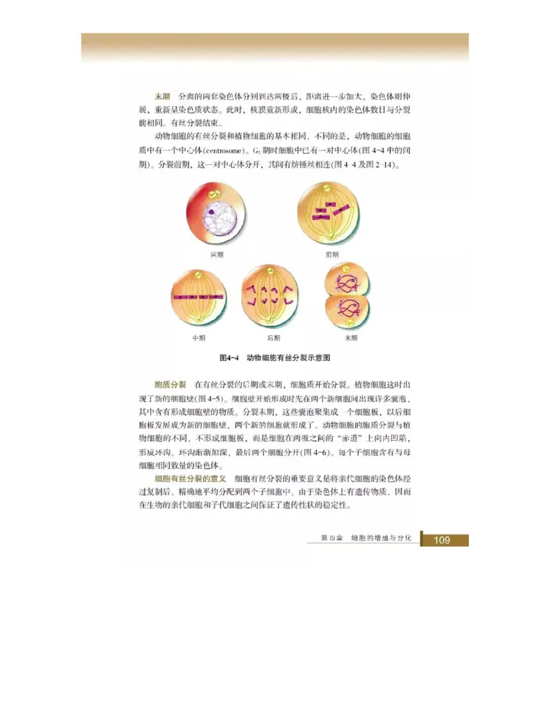 浙科版高中生物必修1《分子与细胞》电子课本_4-教培资料-26年最新资料-同步更新_初中高中教资_03科三专项（进去保存报考的学科即可）_112025高中科目（全）电子教材