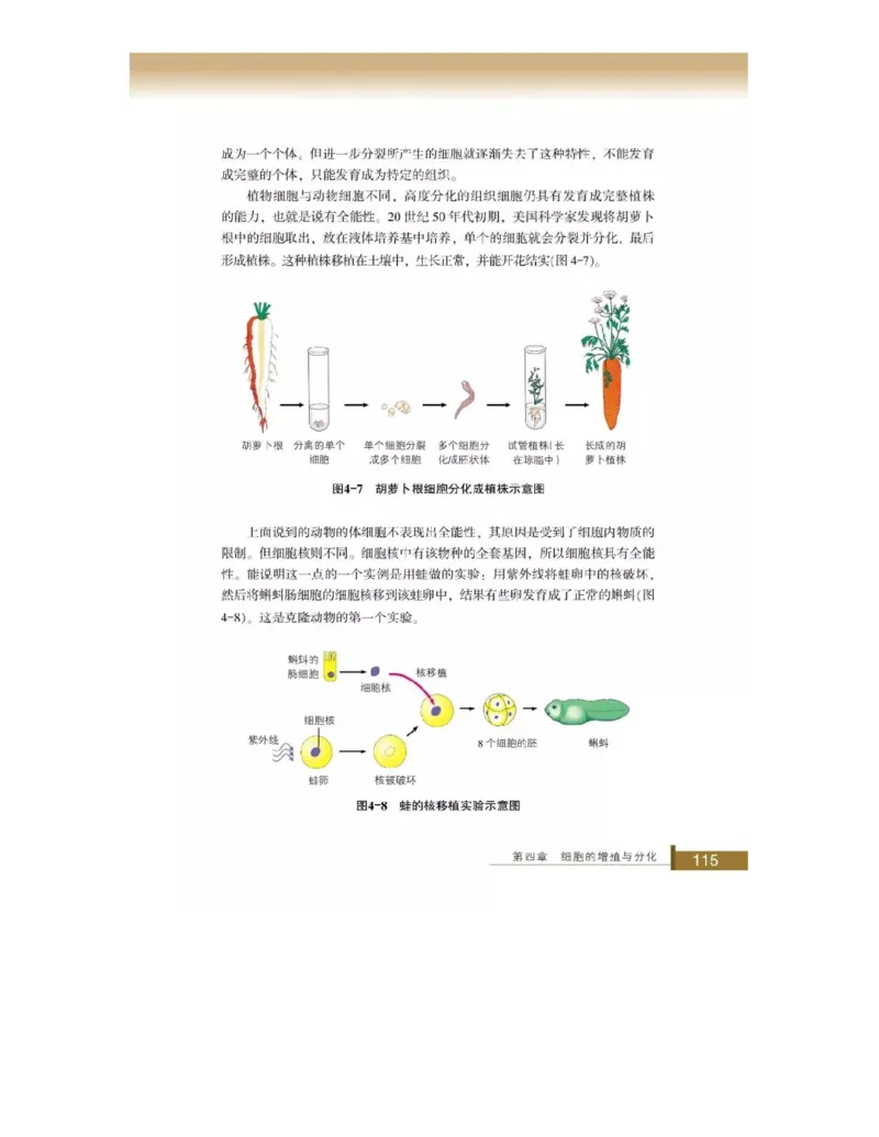 浙科版高中生物必修1《分子与细胞》电子课本_4-教培资料-26年最新资料-同步更新_初中高中教资_03科三专项（进去保存报考的学科即可）_112025高中科目（全）电子教材