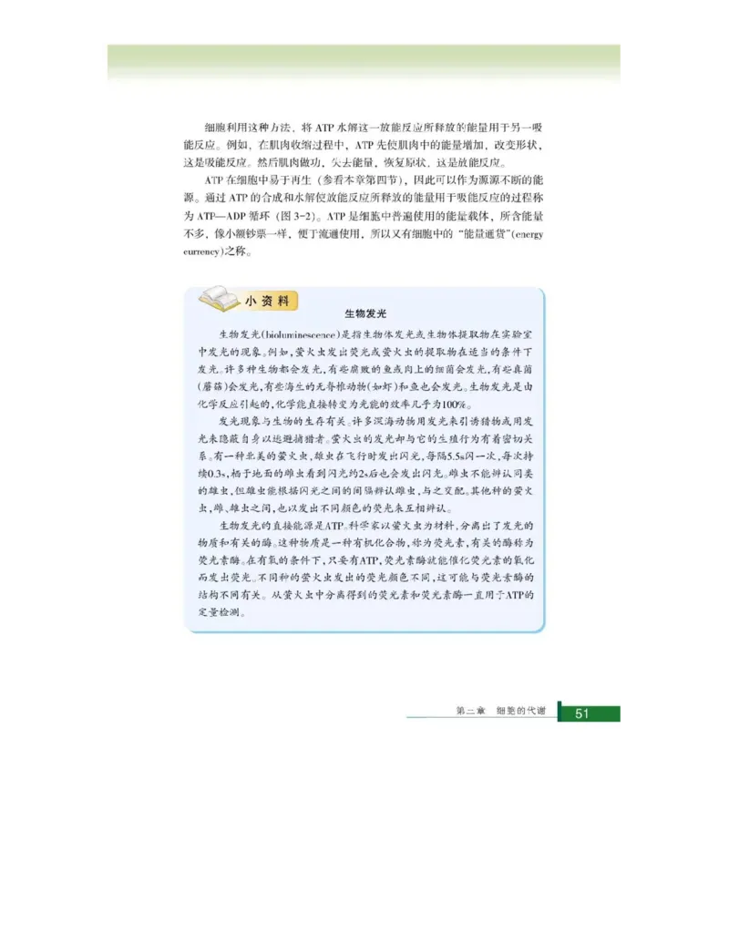 浙科版高中生物必修1《分子与细胞》电子课本_4-教培资料-26年最新资料-同步更新_初中高中教资_03科三专项（进去保存报考的学科即可）_112025高中科目（全）电子教材