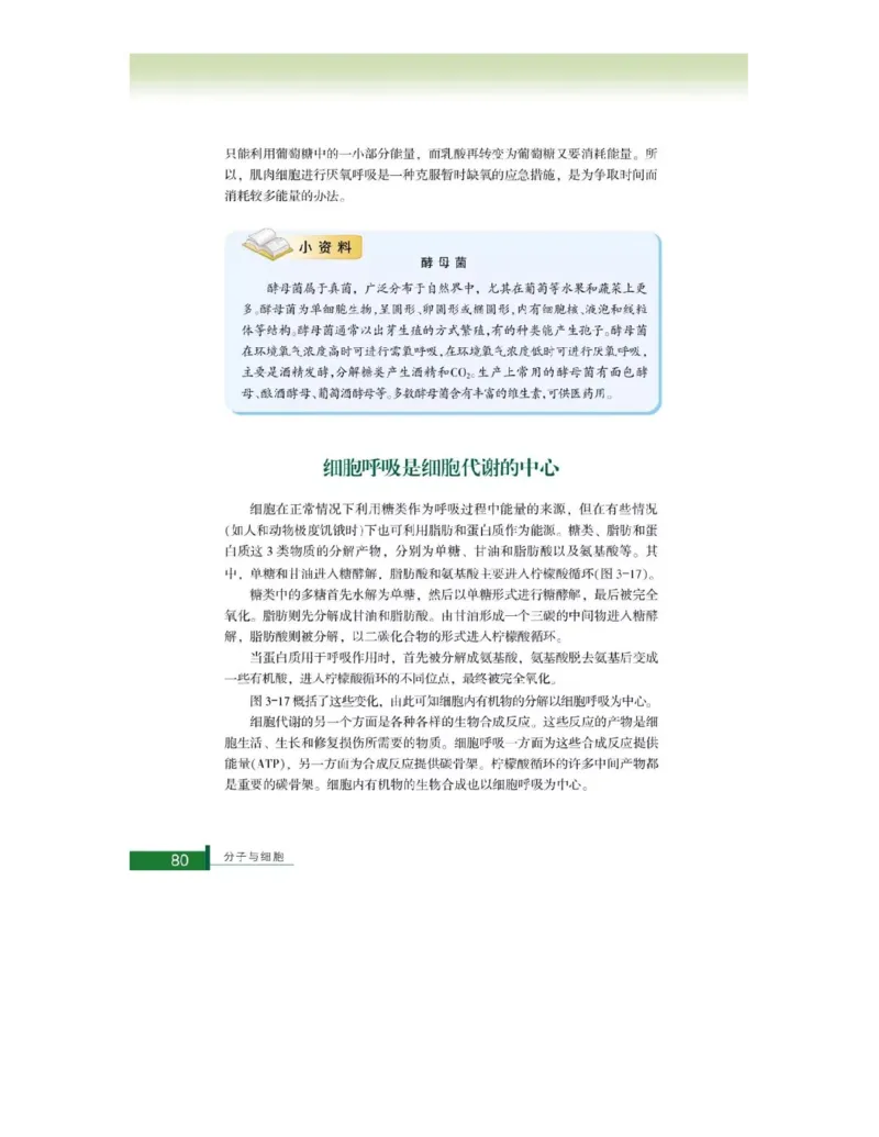 浙科版高中生物必修1《分子与细胞》电子课本_4-教培资料-26年最新资料-同步更新_初中高中教资_03科三专项（进去保存报考的学科即可）_112025高中科目（全）电子教材