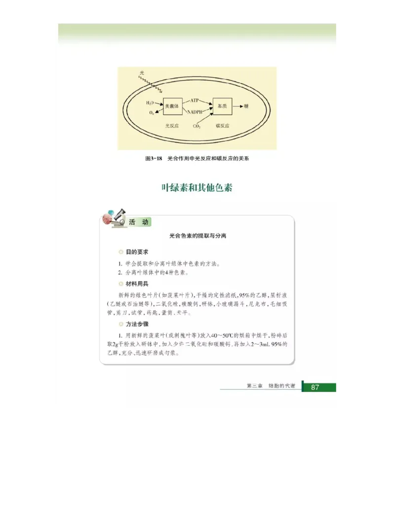 浙科版高中生物必修1《分子与细胞》电子课本_4-教培资料-26年最新资料-同步更新_初中高中教资_03科三专项（进去保存报考的学科即可）_112025高中科目（全）电子教材