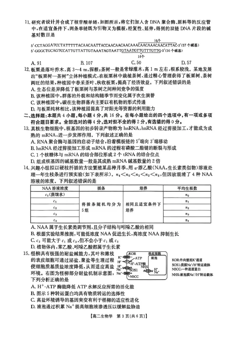湖南省衡阳市2024-2025学年高二下学期7月期末考试生物试卷（含答案）_2025年7月_250713湖南省衡阳市2024-2025学年高二下学期7月期末考试（全科）