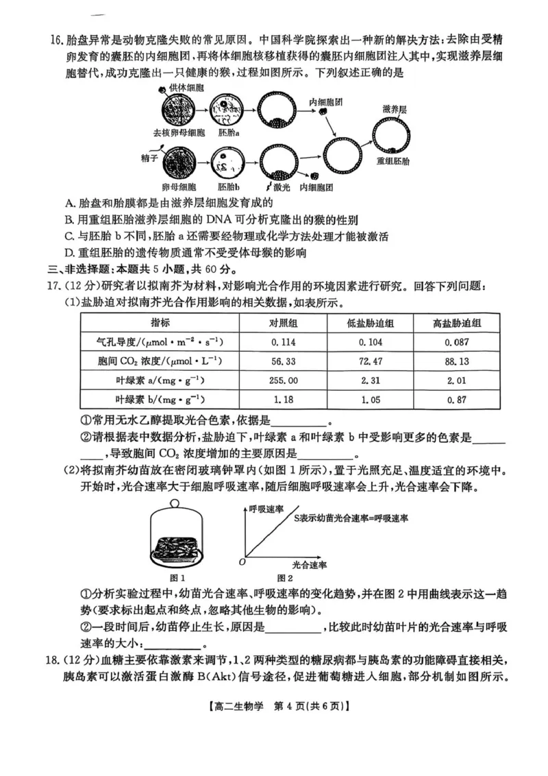 湖南省衡阳市2024-2025学年高二下学期7月期末考试生物试卷（含答案）_2025年7月_250713湖南省衡阳市2024-2025学年高二下学期7月期末考试（全科）