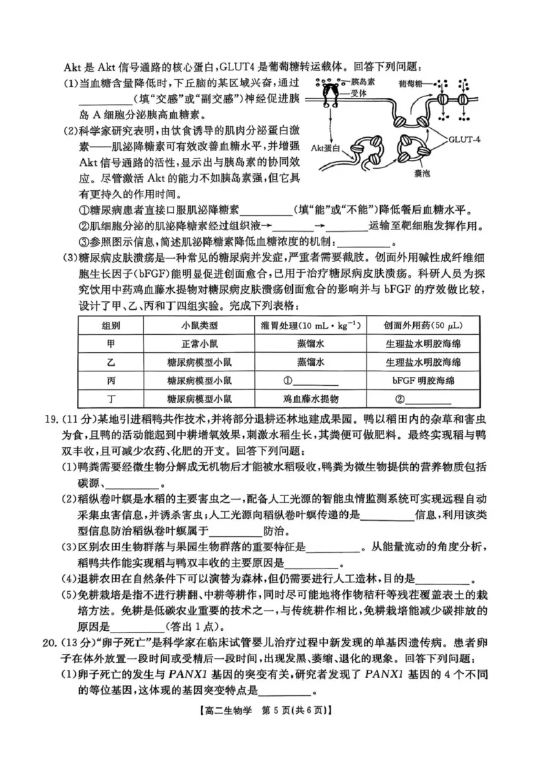 湖南省衡阳市2024-2025学年高二下学期7月期末考试生物试卷（含答案）_2025年7月_250713湖南省衡阳市2024-2025学年高二下学期7月期末考试（全科）
