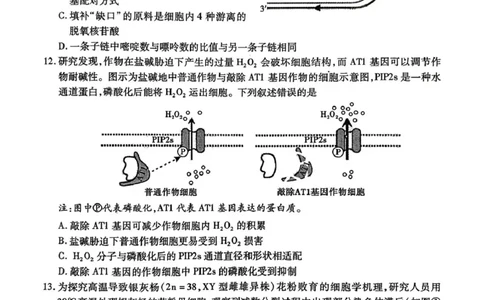 内江市高中2026届第一次模拟考试题生物_2025年12月_251219四川省内江市高中2026届第一次模拟考试题（内江一模）（全科）