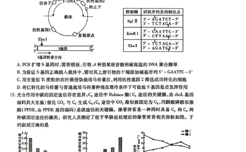 内江市高中2026届第一次模拟考试题生物_2025年12月_251219四川省内江市高中2026届第一次模拟考试题（内江一模）（全科）