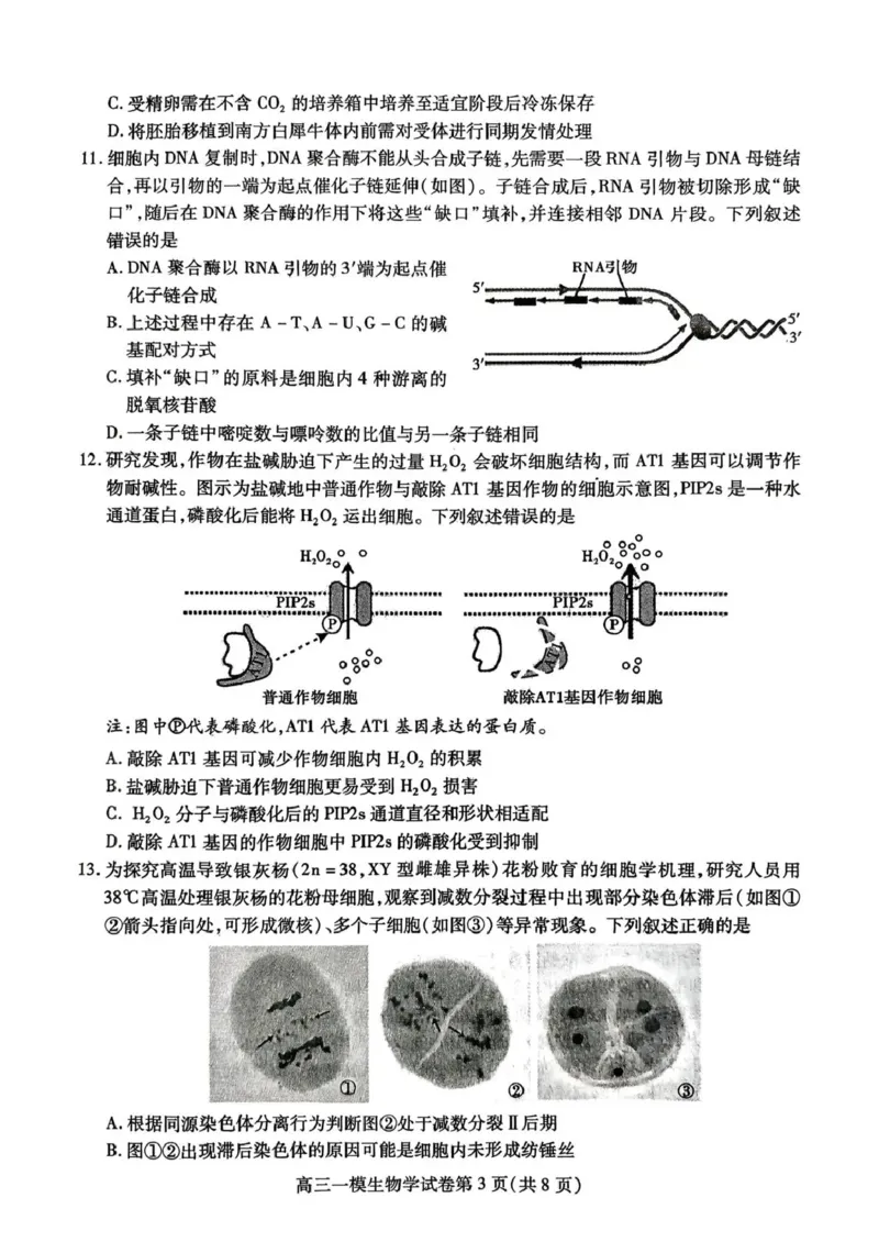 内江市高中2026届第一次模拟考试题生物_2025年12月_251219四川省内江市高中2026届第一次模拟考试题（内江一模）（全科）
