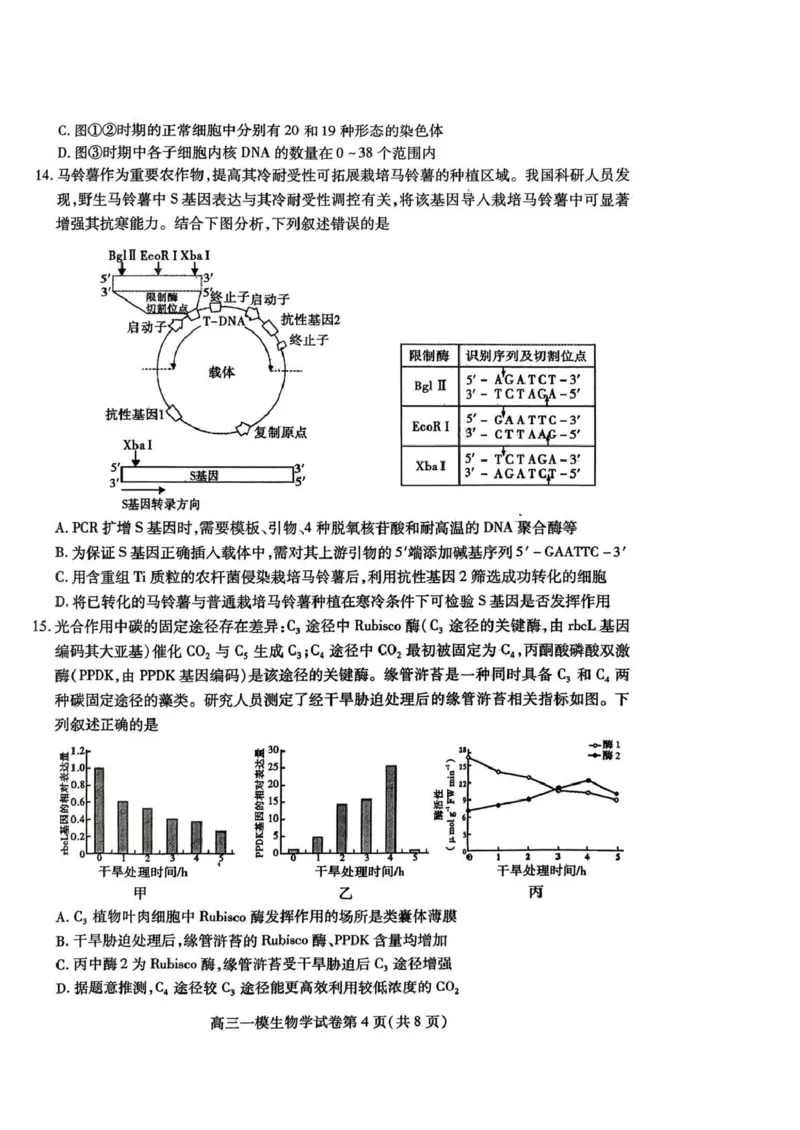 内江市高中2026届第一次模拟考试题生物_2025年12月_251219四川省内江市高中2026届第一次模拟考试题（内江一模）（全科）