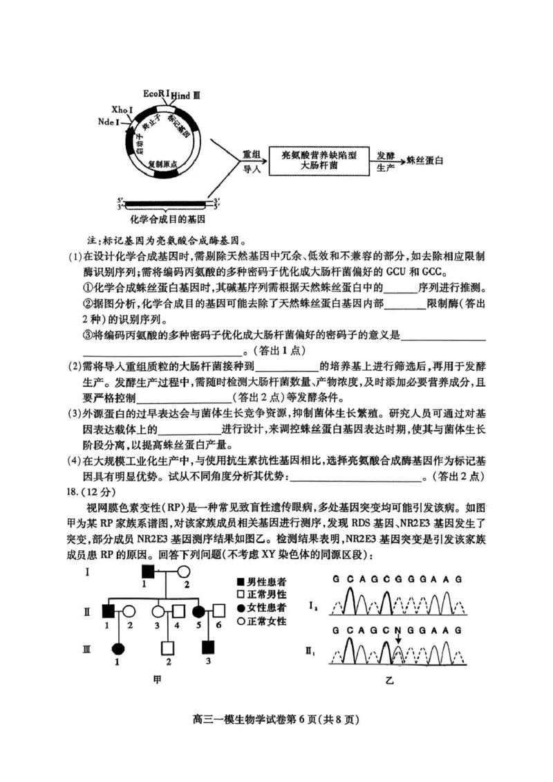 内江市高中2026届第一次模拟考试题生物_2025年12月_251219四川省内江市高中2026届第一次模拟考试题（内江一模）（全科）