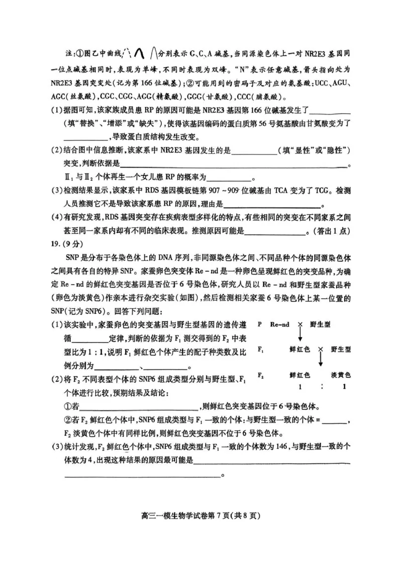 内江市高中2026届第一次模拟考试题生物_2025年12月_251219四川省内江市高中2026届第一次模拟考试题（内江一模）（全科）