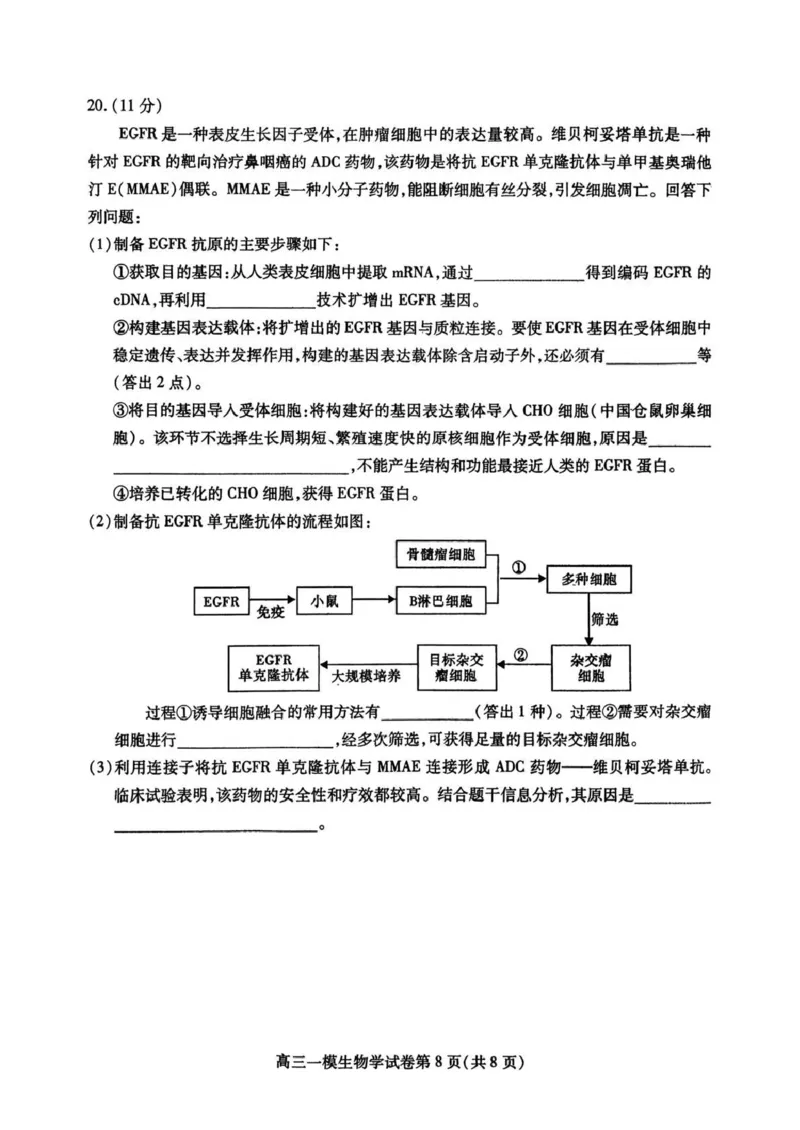 内江市高中2026届第一次模拟考试题生物_2025年12月_251219四川省内江市高中2026届第一次模拟考试题（内江一模）（全科）