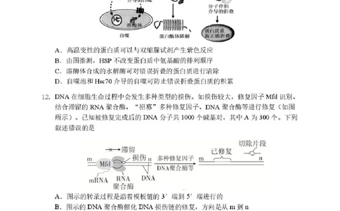 2026届哈尔滨第三中学高三上学期期中考试生物（含答案）_251102黑龙江省哈尔滨第三中学2026届高三上学期期中考试（全科）