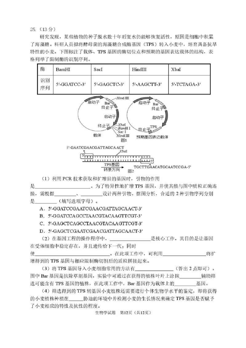 2026届哈尔滨第三中学高三上学期期中考试生物（含答案）_251102黑龙江省哈尔滨第三中学2026届高三上学期期中考试（全科）