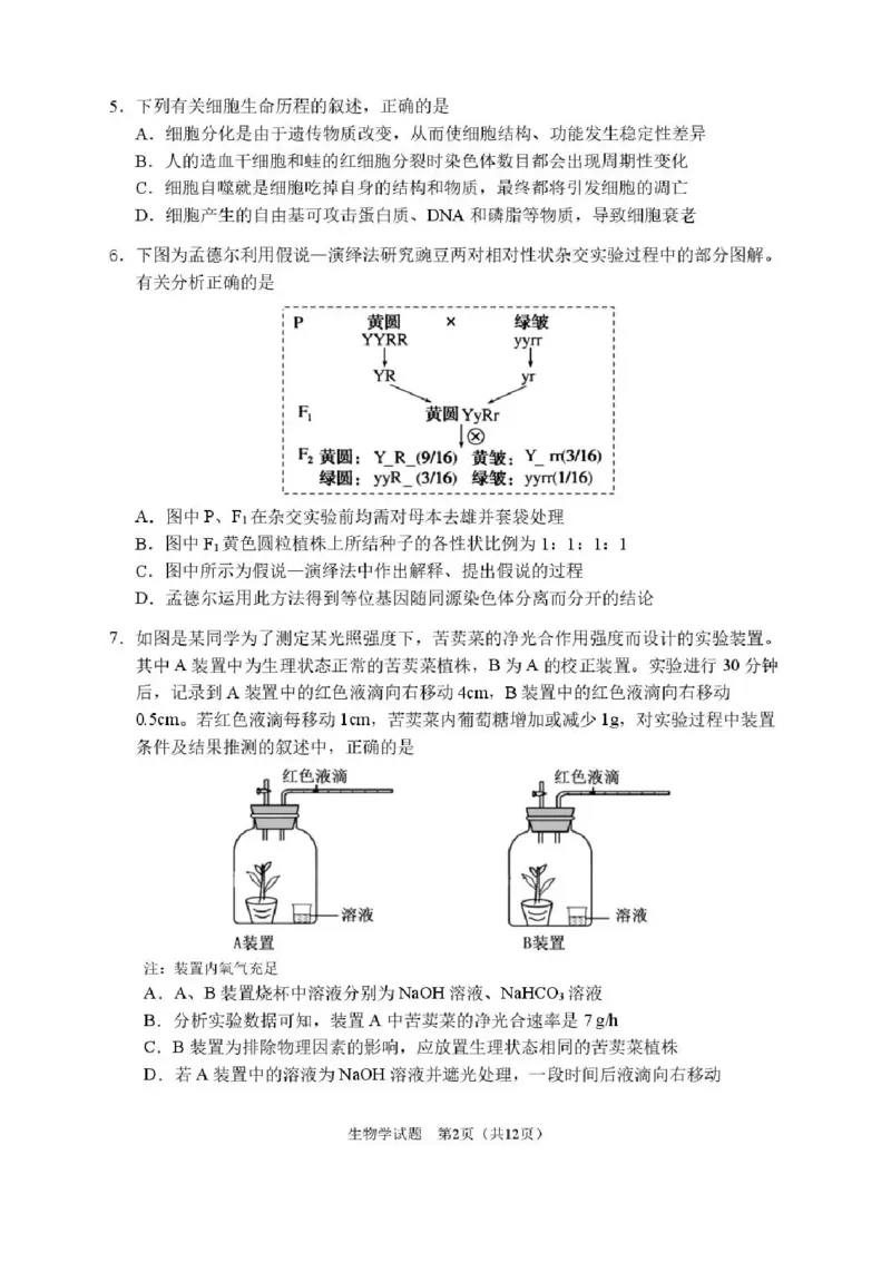 2026届哈尔滨第三中学高三上学期期中考试生物（含答案）_251102黑龙江省哈尔滨第三中学2026届高三上学期期中考试（全科）