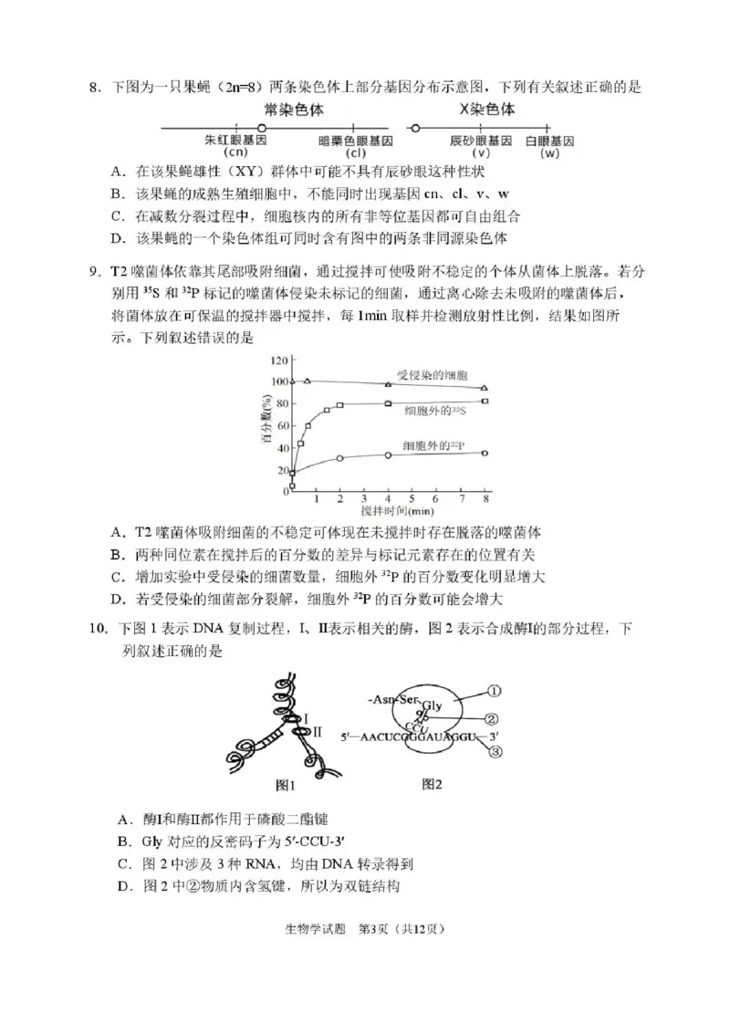 2026届哈尔滨第三中学高三上学期期中考试生物（含答案）_251102黑龙江省哈尔滨第三中学2026届高三上学期期中考试（全科）
