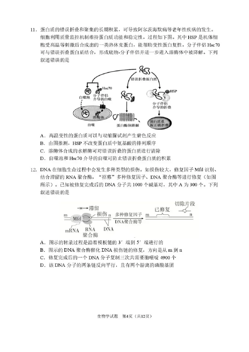 2026届哈尔滨第三中学高三上学期期中考试生物（含答案）_251102黑龙江省哈尔滨第三中学2026届高三上学期期中考试（全科）