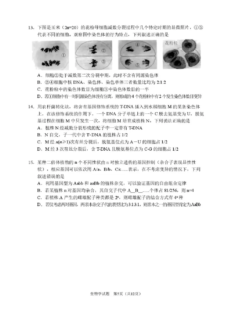 2026届哈尔滨第三中学高三上学期期中考试生物（含答案）_251102黑龙江省哈尔滨第三中学2026届高三上学期期中考试（全科）