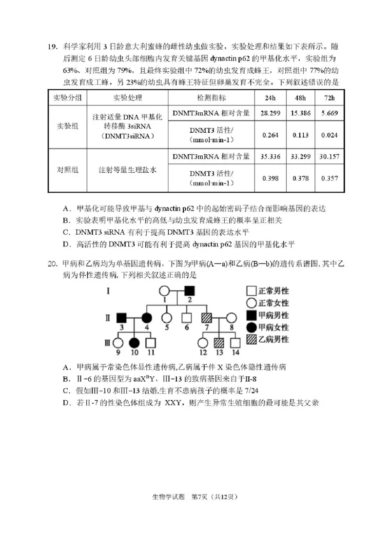 2026届哈尔滨第三中学高三上学期期中考试生物（含答案）_251102黑龙江省哈尔滨第三中学2026届高三上学期期中考试（全科）