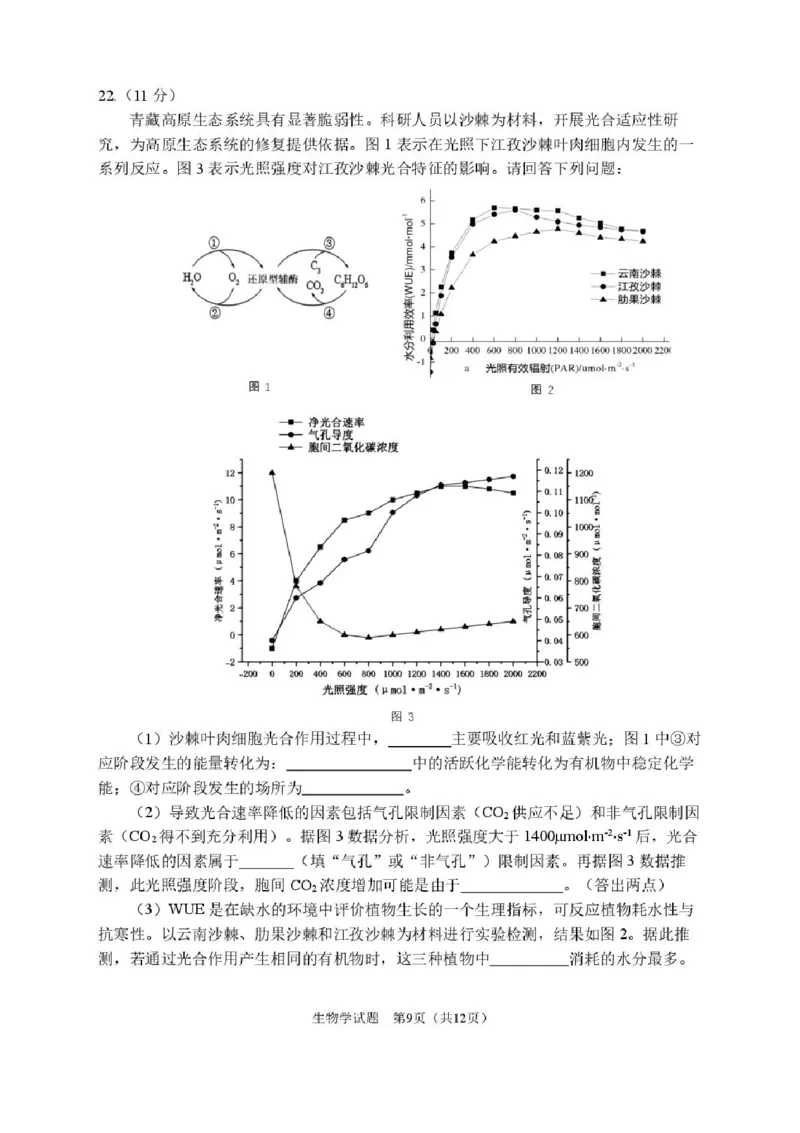 2026届哈尔滨第三中学高三上学期期中考试生物（含答案）_251102黑龙江省哈尔滨第三中学2026届高三上学期期中考试（全科）