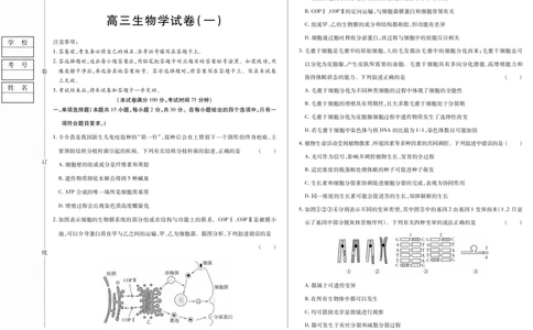 新时代高中教育联合体2025年11月高三学年期中联考巩固卷（一）生物_251112黑龙江省新时代高中教育联合体2025年11月高三学年期中联考巩固卷（一）（全科）