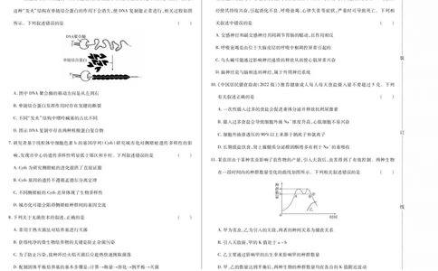 新时代高中教育联合体2025年11月高三学年期中联考巩固卷（一）生物_251112黑龙江省新时代高中教育联合体2025年11月高三学年期中联考巩固卷（一）（全科）