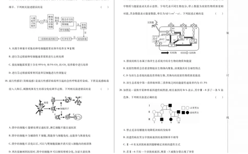 新时代高中教育联合体2025年11月高三学年期中联考巩固卷（一）生物_251112黑龙江省新时代高中教育联合体2025年11月高三学年期中联考巩固卷（一）（全科）