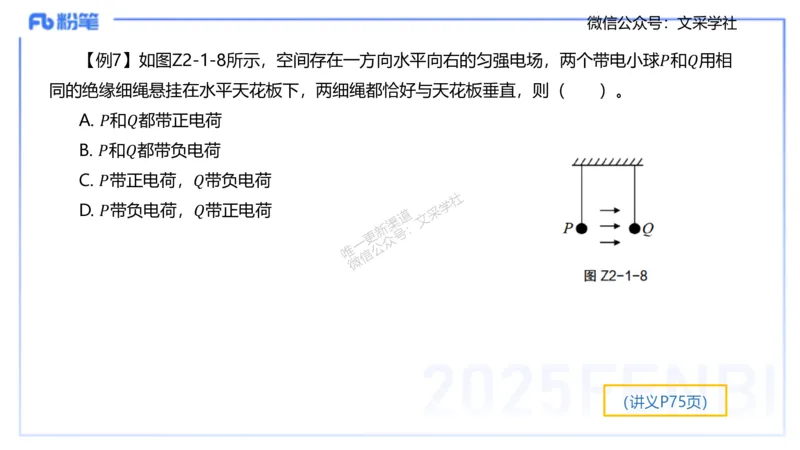 理论精讲06-中学电磁学1-楠风_4-教培资料-26年最新资料-同步更新_初中高中教资_03科三专项（进去保存报考的学科即可）_01科目三FB网课、三色速记手册、知识点导图等推荐_初中