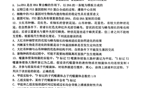 丹东市2023-2024上学期期末高三生物试题_2024届辽宁省丹东市高三上学期期末教学质量监测_辽宁省丹东市2024届高三上学期期末教学质量监测生物_生物